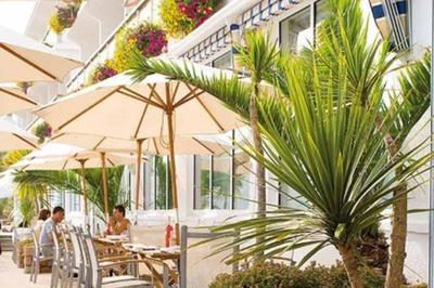 Palm trees and cafe at at accessible luxury spa hotel, Jersey, Channel Islands