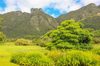 image 6 for SOUTH AFRICA: KALAHARI SAFARI + WILDFLOWERS TO CAPE in Africa