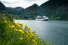 image 1 for Royal Caribbean Norwegian Fjords in Norwegian Fjords