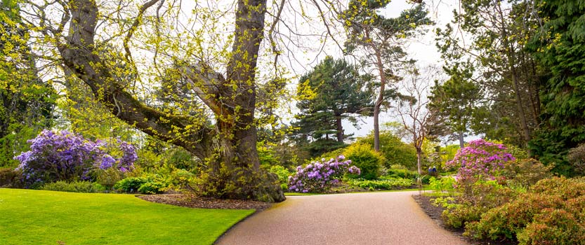 Path and flowers at the Royal Botanic Gardens, Edinburgh