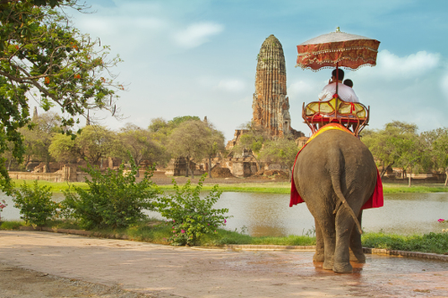 Elephant and temple in Thailand