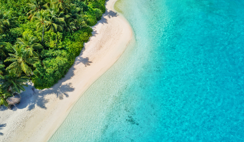 Aerial view of jungle and a sandy beach in the Maldives, Indian Ocean