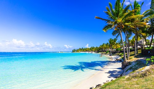 Palm trees on a white sand beach by clear blue sea in Mauritius, in the Indian Ocean