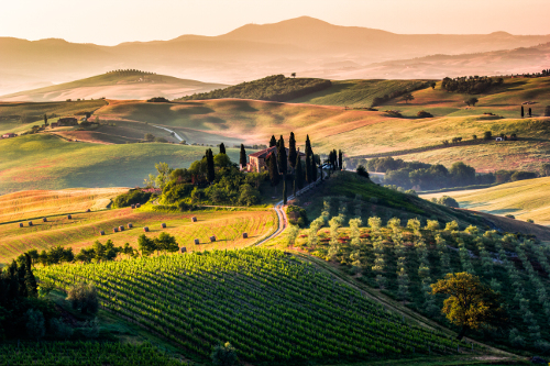 Hills and vineyards in Tuscany, Italy