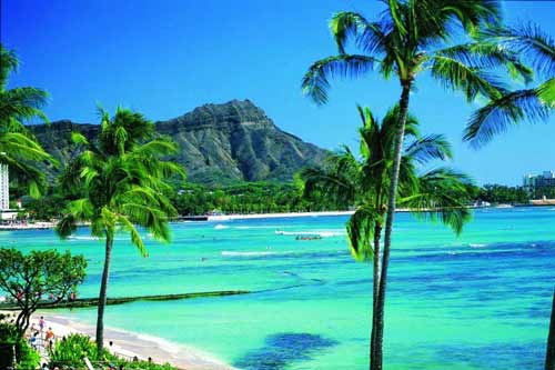 Hawaii disabled cruise