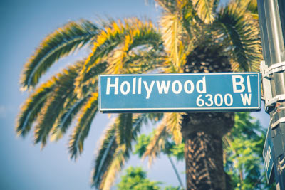 Hollywood Boulevard sign and palm trees