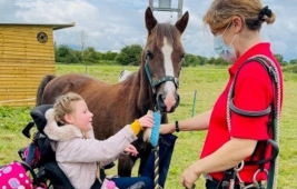 Child in wheelchair brushing a horse. - fudgephysio Specialist Childrens Physiotherapy centre - click to find out more