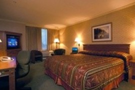 Holiday Inn International Vancouver Airport in Vancouver