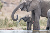 image 4 for SOUTH AFRICA: PILANESBERG SAFARI + MAURITIUS in South Africa