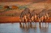 image 1 for SOUTH AFRICA: PILANESBERG SAFARI + MAURITIUS in South Africa