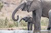image 4 for SOUTH AFRICA: PILANESBERG SAFARI + MAURITIUS in South Africa