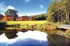 image 2 for Woodside Lodges - Falcon Wood Lodge in Herefordshire