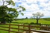 image 10 for Stitchpool Farm Stable Cottage in South Molton