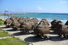 image 8 for Jade Riviera Cancun Resort & Spa in Cancun
