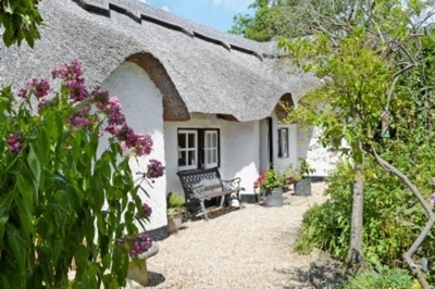 New Forest, Hampshire, disabled accommodation 