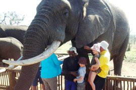 Family Adventures Safari holiday in South Africa