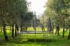 image 15 for Hermes Apartment - Olea Deo in Lake Garda