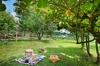 image 9 for Hermes Apartment - Olea Deo in Lake Garda