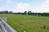 image 9 for The 19th Acre - Pentowan Farm - Skylarks in Porthtowan
