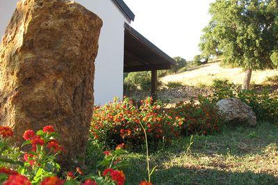 Accessible villa in Sardinia, Italy