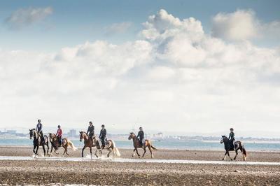 Disabled horse riding on the Isle of Wight