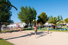 image 5 for Sea Club Mediterranean Resort Alcudia in Alcudia