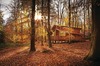 image 9 for Silver Birch 2 WF (Pet) - Blackwood Forest Lodges in Micheldever