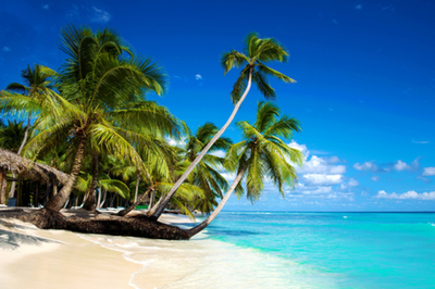 paradise