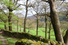 image 16 for Knott Lodge in Cumbria / Lake District