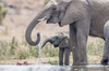 image 2 for SOUTH AFRICA: PILANESBERG SAFARI (WITH GUIDE) + MAURITIUS in South Africa
