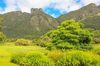 image 3 for SOUTH AFRICA: PILANESBERG SAFARI (WITH GUIDE) + MAURITIUS in South Africa