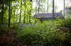 image 9 for 2-bed Wheelchair-adapted Silver Birch Woodland in Forest of Dean