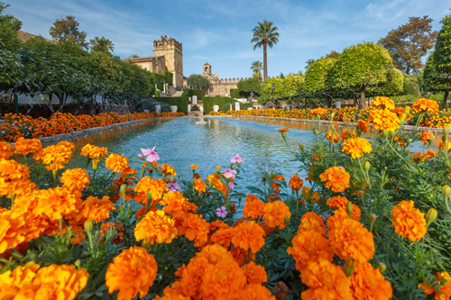 Alcazar de los Reyes Cristianos Cordoba