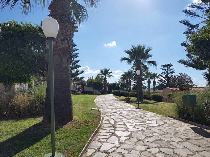 Path lined by palm trees at a hotel in Crete