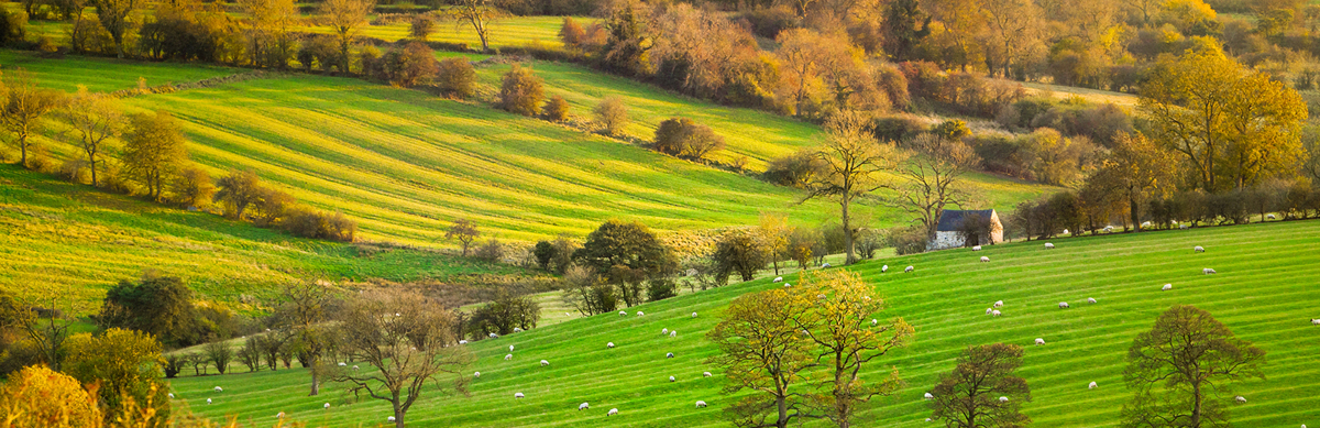 Rolling green English countryside in Derbyshire