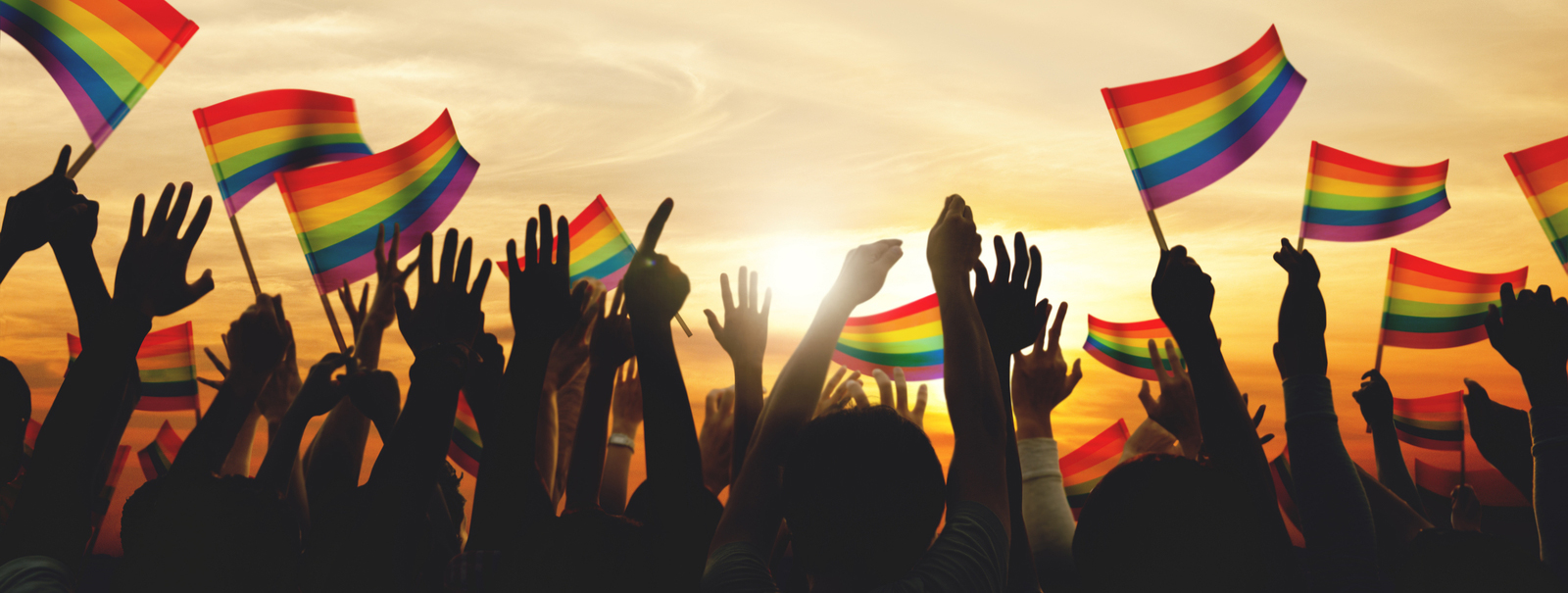 People waving Pride flags