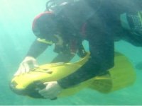 Accessible Scuba Diving