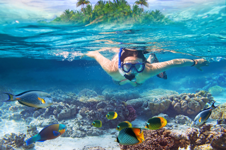 Diver swimming by a tropical reef