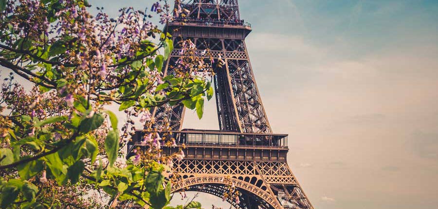 Blossoms in front of the Eiffel Tower, Paris