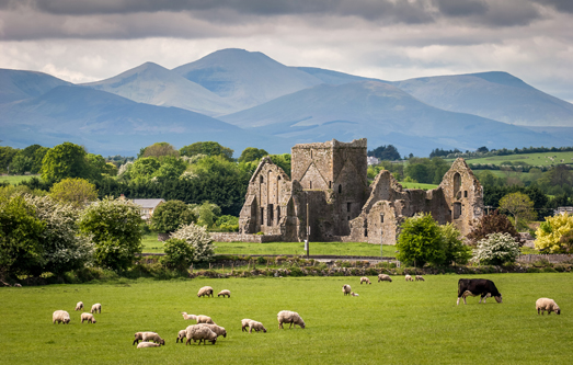 Church ruins on a field in Ireland