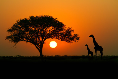 Africa location image