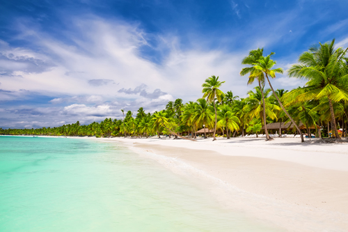Tropical beach and coconut trees in Punta Cana, Dominican Republic