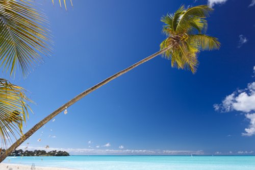 Tropical beach in Antigua and Barbuda