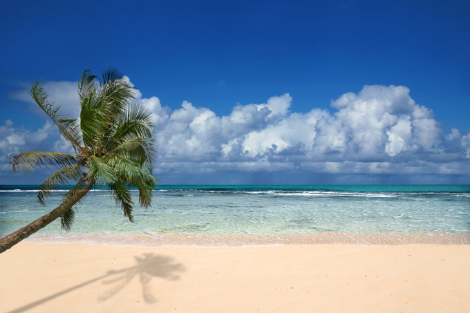 Sandy exotic beach in Hawaii