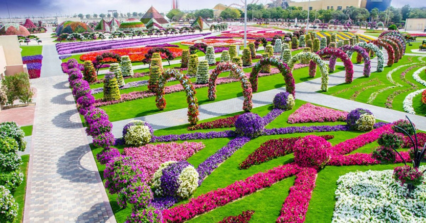 Beautiful multicoloured flower arrangements in the Miracle Garden, Dubai