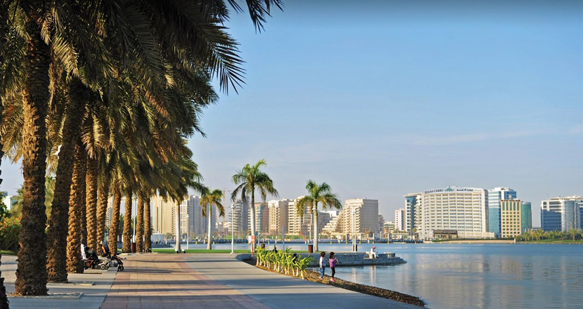 Palm trees looking over the water in Creek Park, Dubai