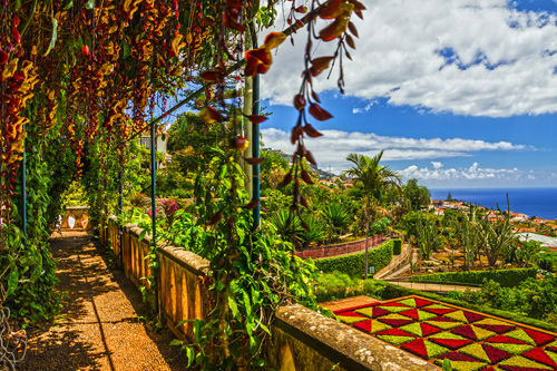 Botanical gardens, Funchal, Madeira