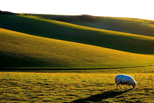 Rolling hills in Sussex
