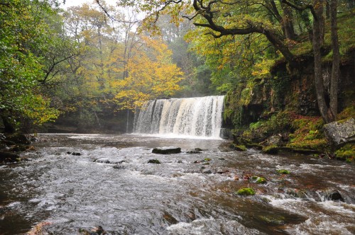Woodland waterfall in Powys, Wales