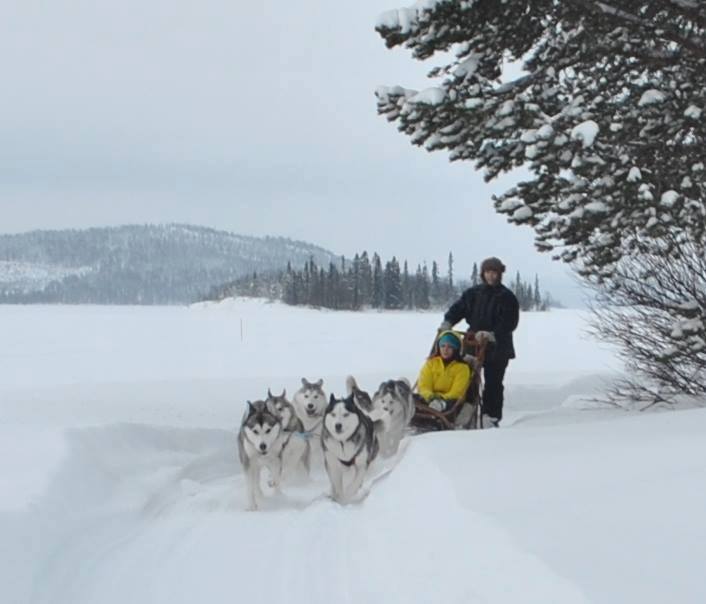 Disabled husky sledding in Lapland